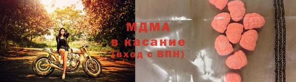 гашик Алексин