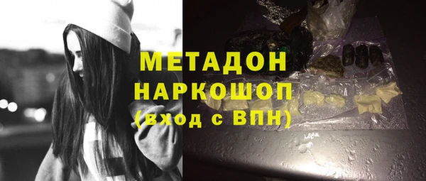гашик Алексин