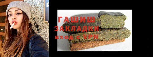 гашик Алексин
