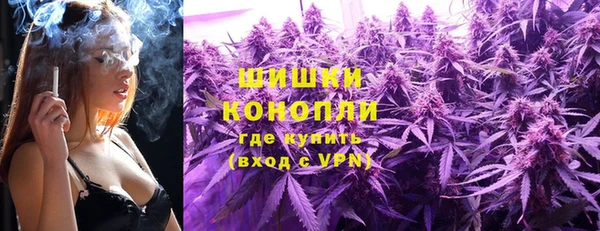 PSILOCYBIN Алзамай