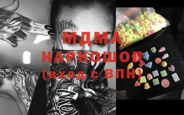 гашик Алексин
