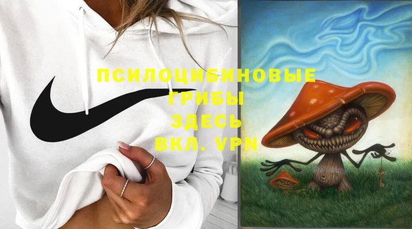 ГАЛЛЮЦИНОГЕННЫЕ ГРИБЫ Абдулино