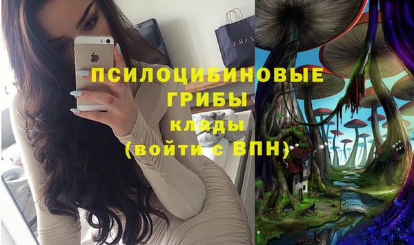 ГАЛЛЮЦИНОГЕННЫЕ ГРИБЫ Абдулино