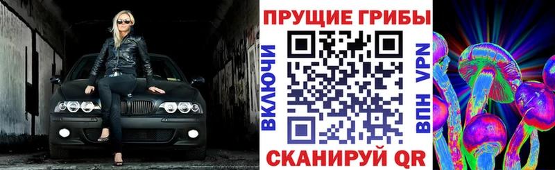 Галлюциногенные грибы GOLDEN TEACHER  Анапа 